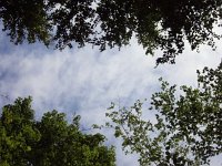 photos 2000-200902518